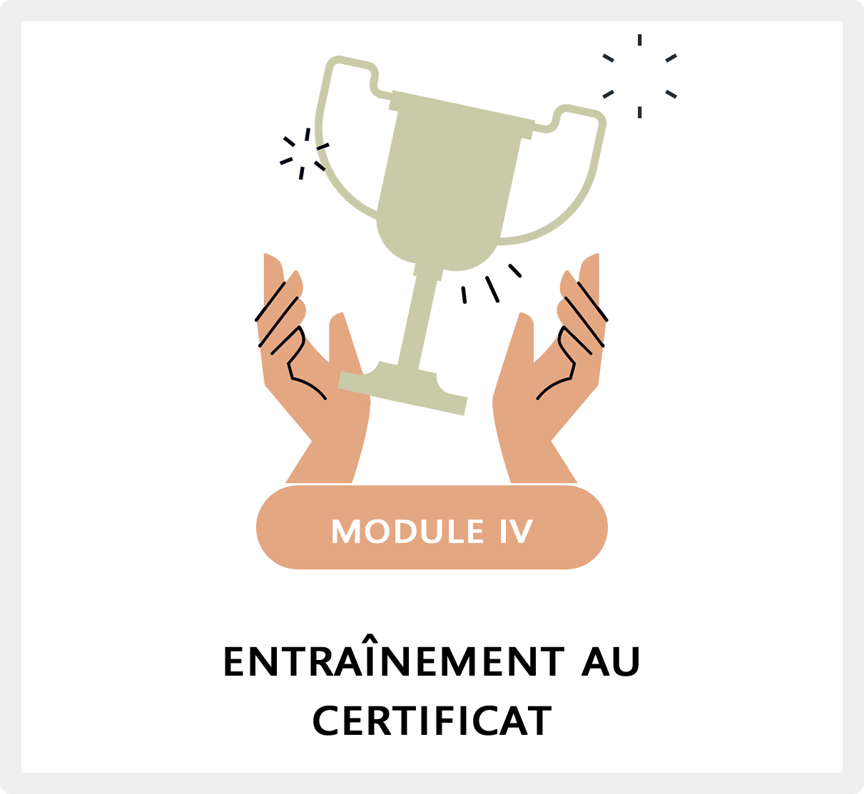 Module VI : Entraînement au Certificat Voltaire