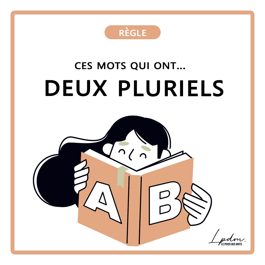 Ces noms qui ont deux pluriels